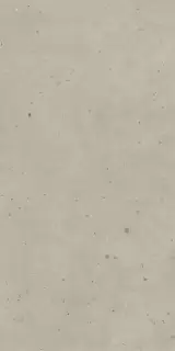 АВАНГАРД ДАСТ 60Х120