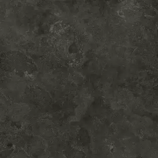 Вояджер Блэк