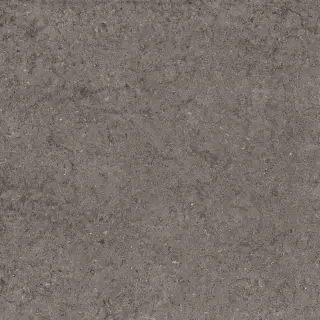 Дискавер Фумэ