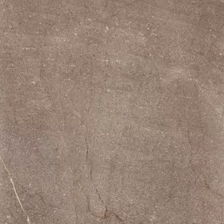 КОНТЕМПОРА БЁРН