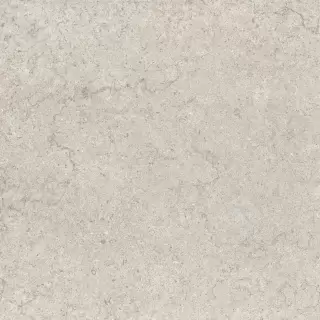 Дискавер Уайт