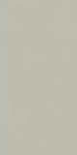 Форум Слим Сильвер