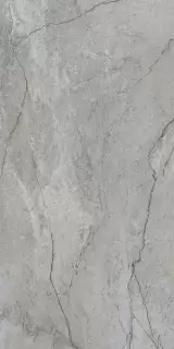 ArcticStone Серый Матовый R10A