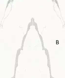 ULTRA MARMI STATUARIO ULTRA BLOCK B LUCIDATO SHINY