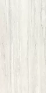 Sant Agostino Invictus White