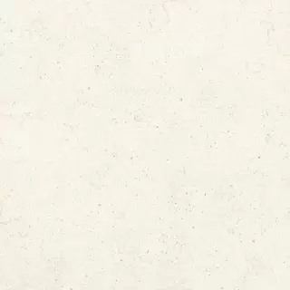 BUXY CORAIL BLANC PLUS 3000X1000X3,5