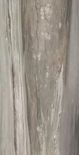 ÉTOILE TROPICAL MAT