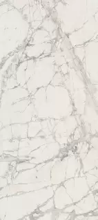 PREXIOUS MOUNTAIN TREASURE GLOSSY