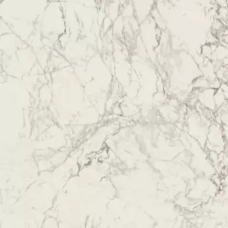 STARLIGHT APUANO EXTRA GLOSSY 3000X1000X3,5