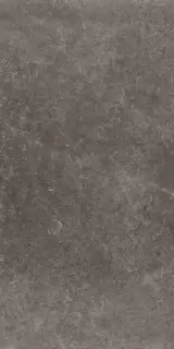 BLACK PRIME PLUS PZ7PM10