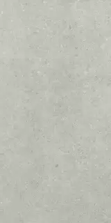 Аурис Графит 30X60 Рет