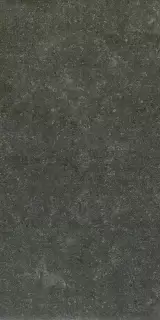 Аурис Блэк 30X60 Рет