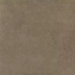 Нова Браун