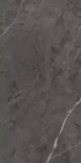 Шарм Эво Антрачит 60X120 Рет