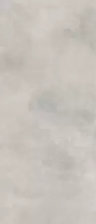 Миллениум Сильвер 120X278