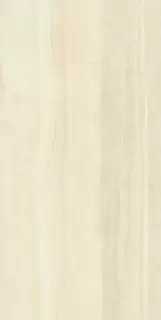 Шар.эдв.ал.уайт 60X120 Пат
