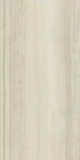 Шарм Эдванс Силк Грэй 60X120 Пат