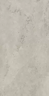 Метрополис Абсолют Сильвер 80X160