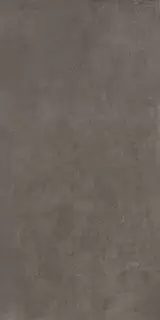 Этернум Кофи 60X120 Рет