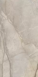 Стелларис Элегант Сильвер 60X120 Рет