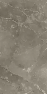 Стелларис Тусканиа Грэй 60X120 Рет