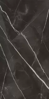 Стелларис Абсолют Блэк 60X120 Шлиф