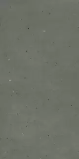 Авангард Блэк 60X120 Рет