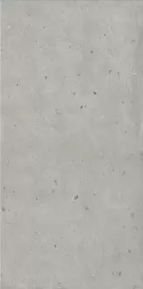 Авангард Сильвер 60X120 Рет Х2