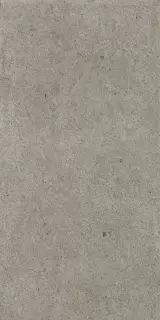 Космос Грэй 60X120 Рет Х2