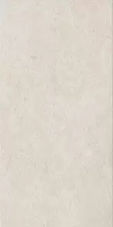 Фоссил Пьюр 60X120 Рет Х2