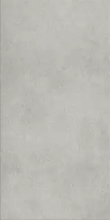 Фоссил Грэй 60X120 Рет Х2