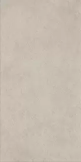 Фоссил Сэнд 60X120 Рет Х2