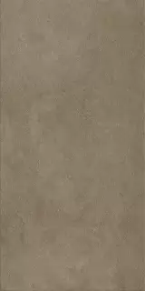 Фоссил Дезерт 60X120 Рет Х2