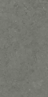 Форум Стоун Айрон 60X120