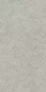 Форум Стоун Сильвер 60X120