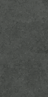 Форум Стоун Петрол 60X120