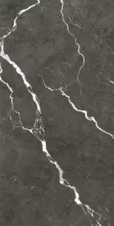 Микеланджело Дарк 60X120 Рет