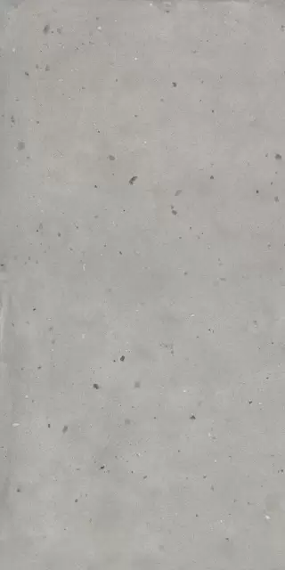 АВАНГАРД СИЛЬВЕР 60Х120