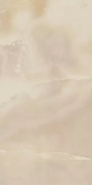 ШАРМ ЭВО ОНИКС