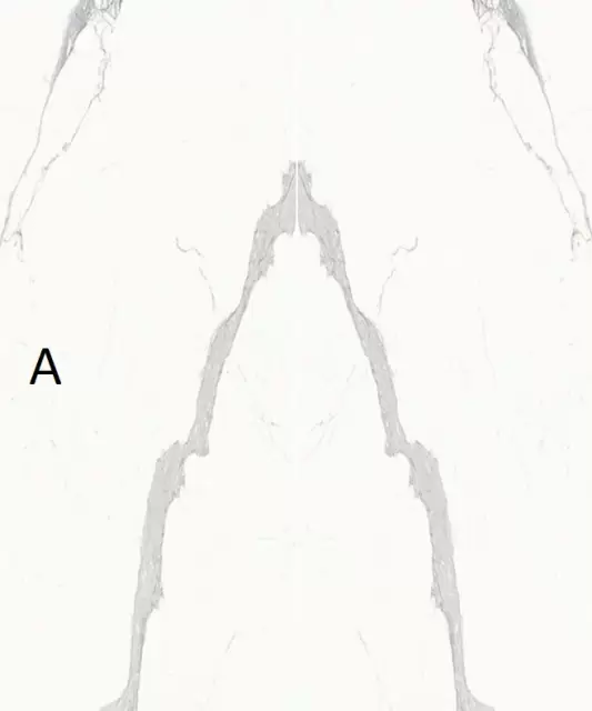 ULTRA MARMI STATUARIO ULTRA BLOCK A LUCIDATO SHINY