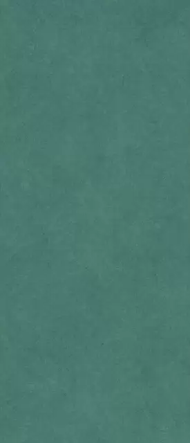 ARKETIPO SILVA SOLIDA