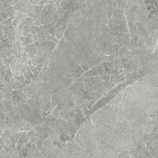 ADVANCE SKIN SILVER PLUS 3000X1000X3,5