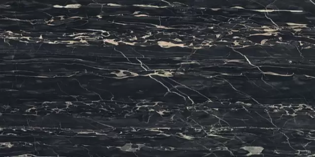 I CLASSICI PORTORO 6MM GLOSSY 60X120 RET