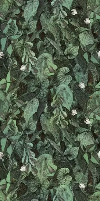 WANDERWALL PRINTEMPS B