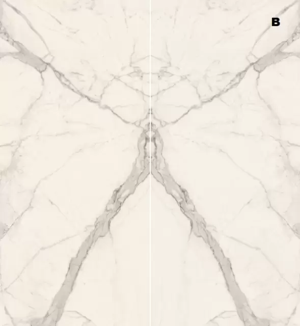 STATUARIO BOOKMATCH B LUX PZ6ENB2