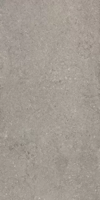 Дискавер Грэй 60X120 Рет