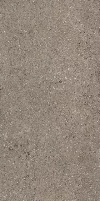 Дискавер Дезерт 60X120 Рет