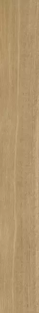 Этернум Роверэ 20X160 Рет