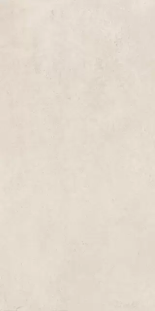 Этернум Сноу 60X120 Рет
