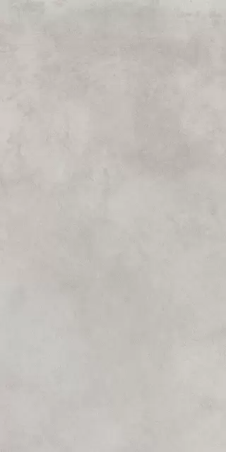 Миллениум сильвер 60X120 Рет Х2